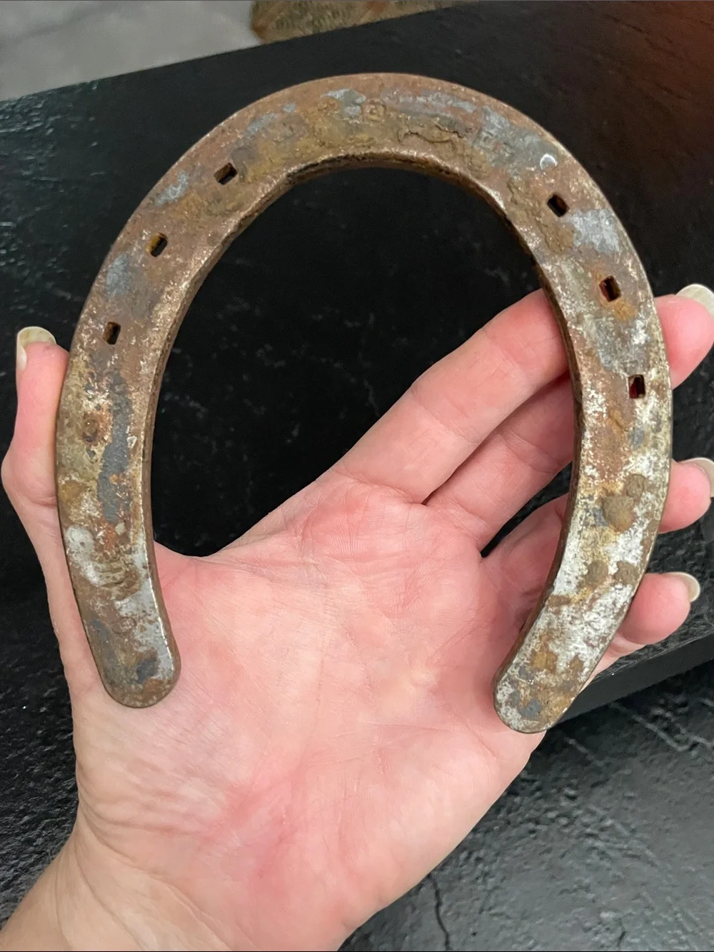 Classic Rustic Horseshoe - Silver/Brown